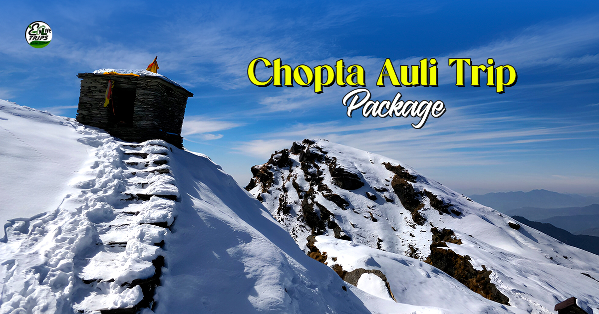 Chopta Auli Tour Package from Delhi
